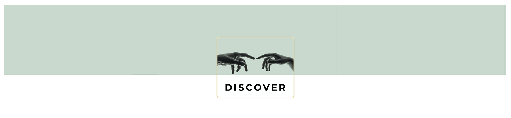 discover